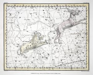 The Constellations (Plate V) Lynx, Leo Minor, from 